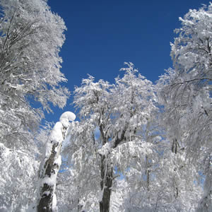 San Martín de los Andes